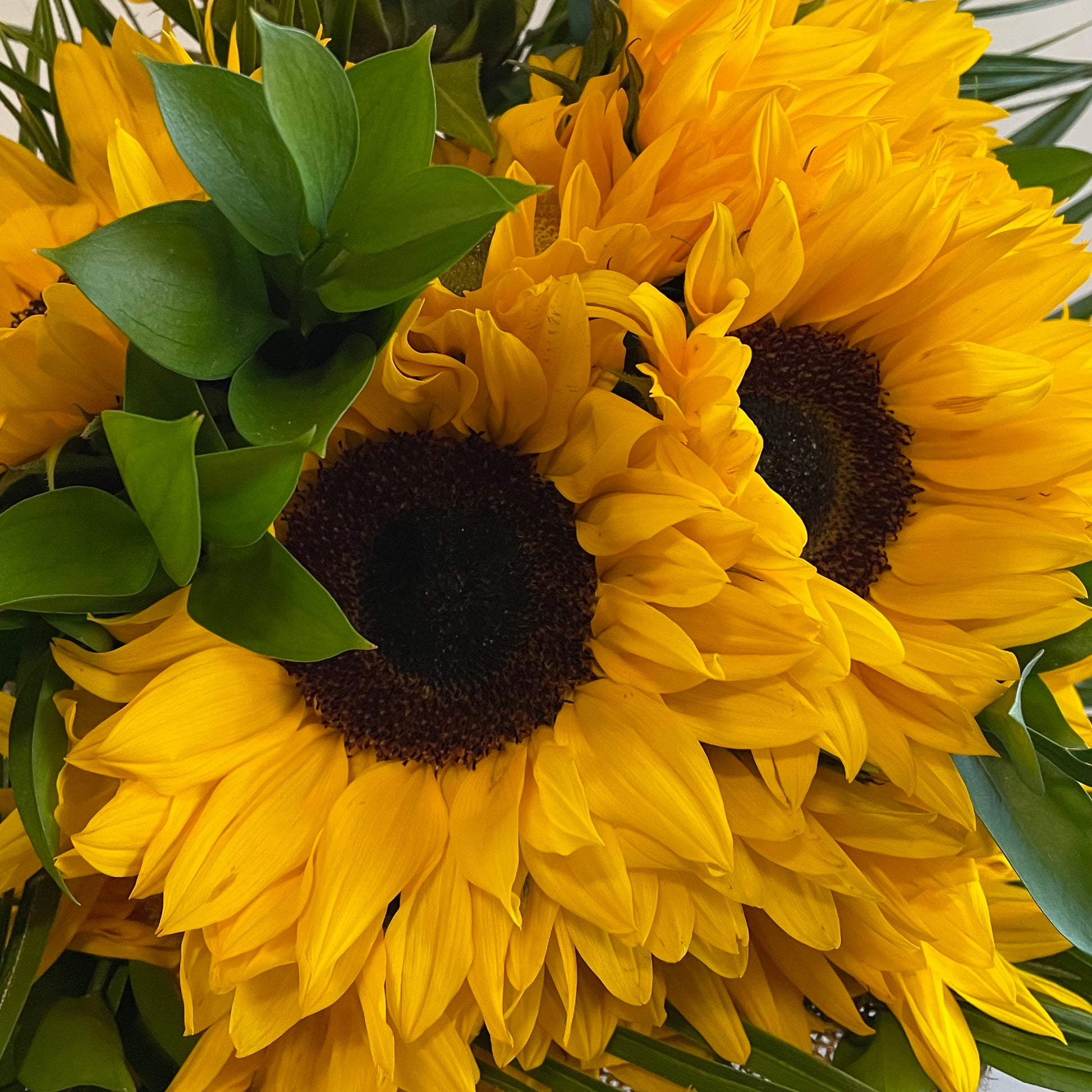 Product image of 'Sunny Day' featuring a collection of sunflowers in a vase
