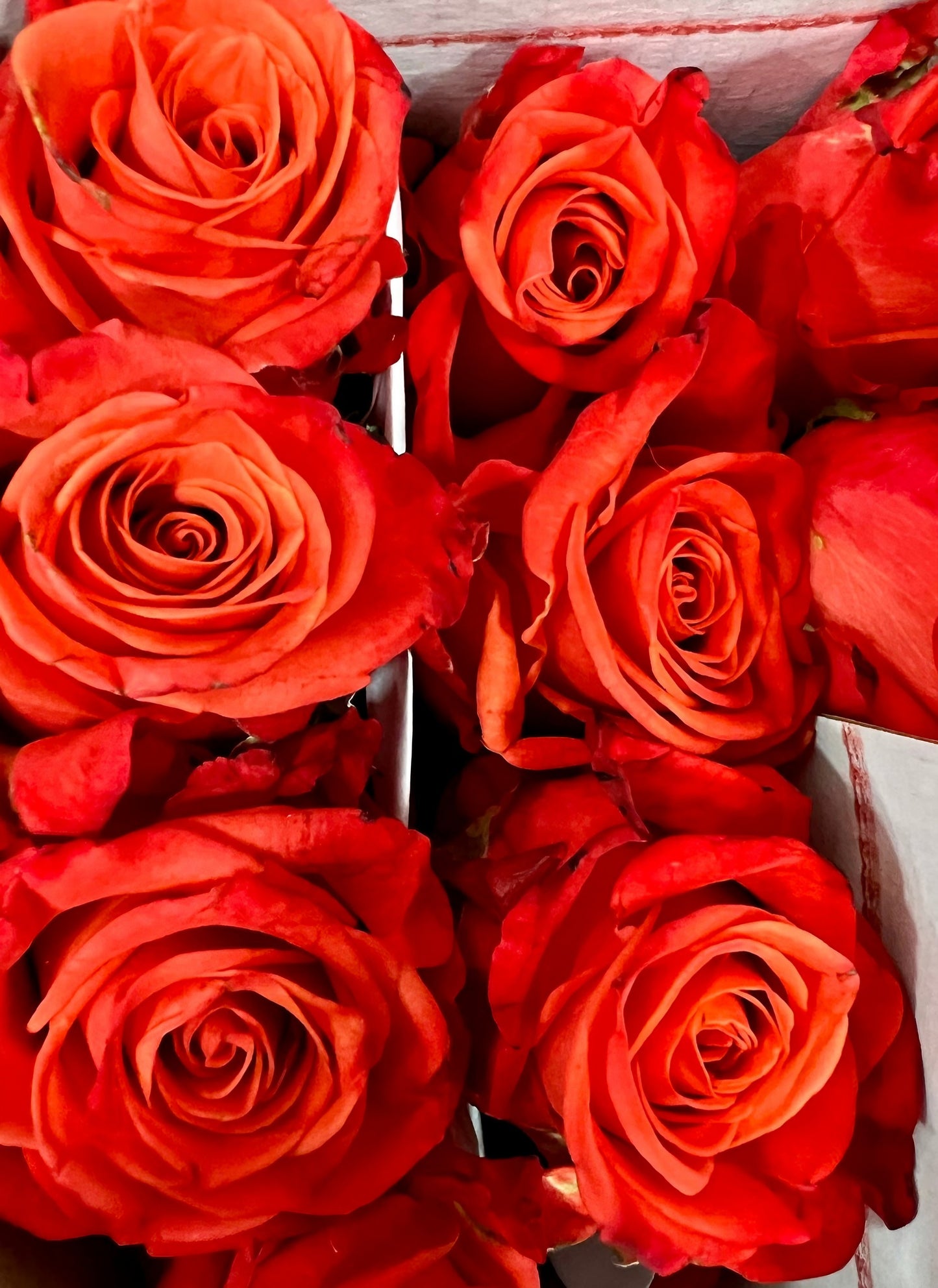 Love Story product showcasing red roses arranged in a box
