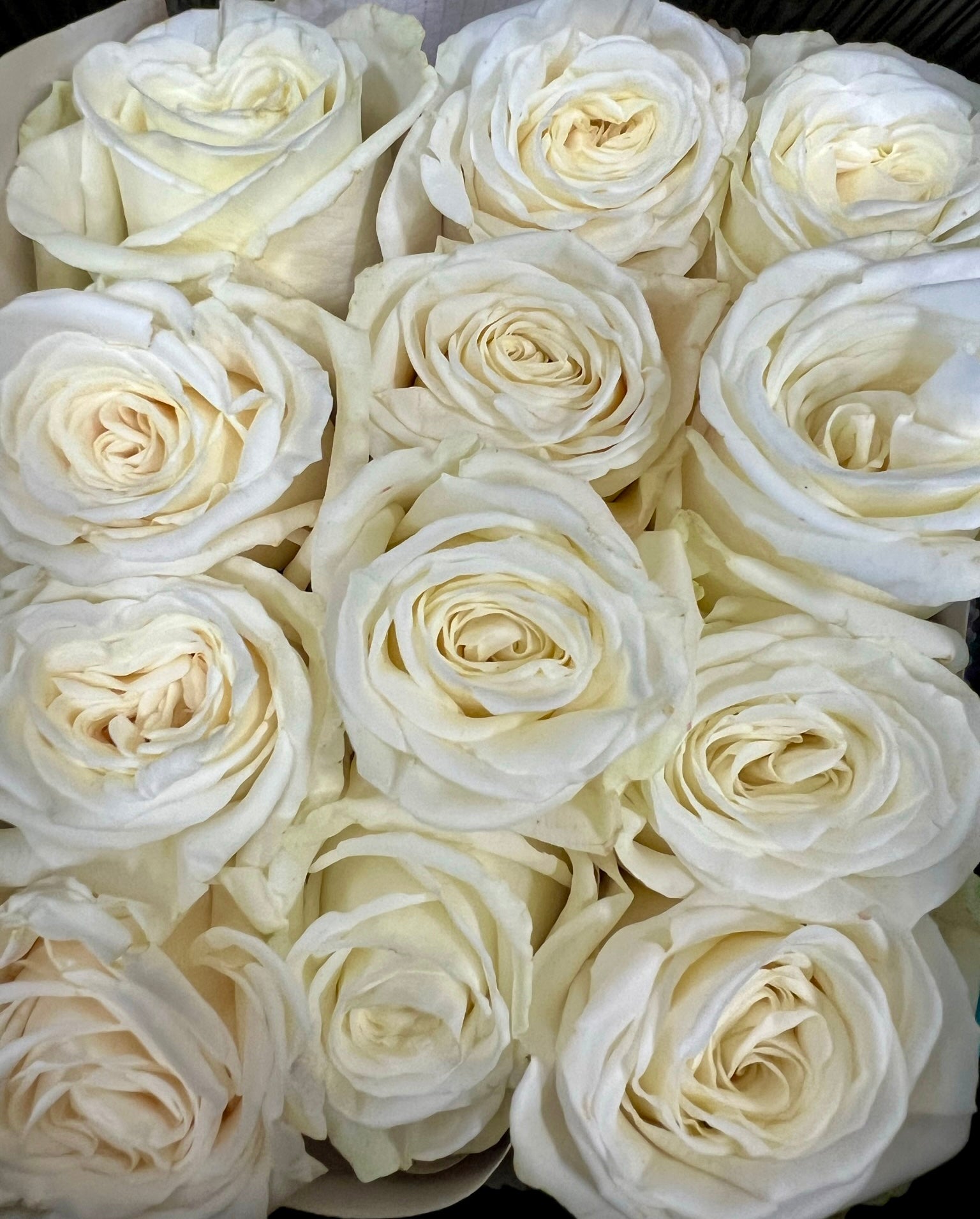 White roses in a box as part of the Love Story product